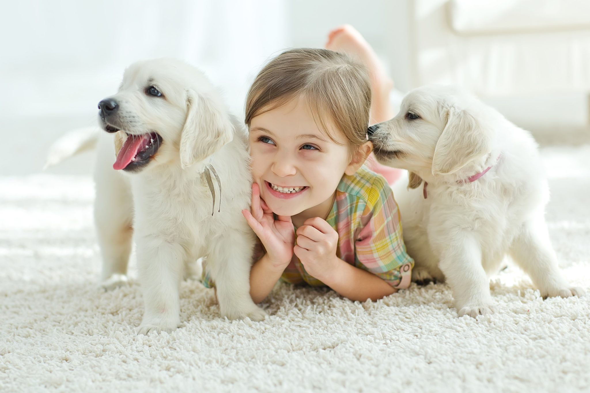 The Benefits of Having a Pet: How Your Furry Friend Can Improve Your Life